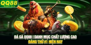 Đá Gà QQ88 | Danh Mục Chất Lượng Cao & Đáng Thử #1 Hiện Nay