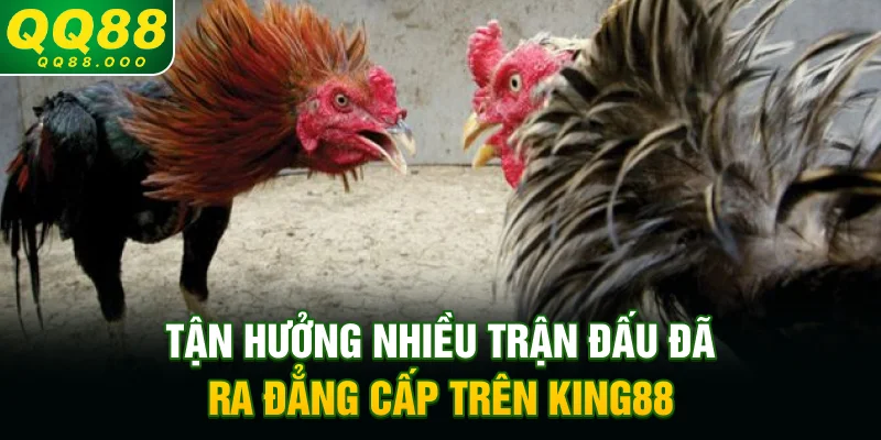 Tận hưởng nhiều trận đấu đã ra đẳng cấp trên King88
